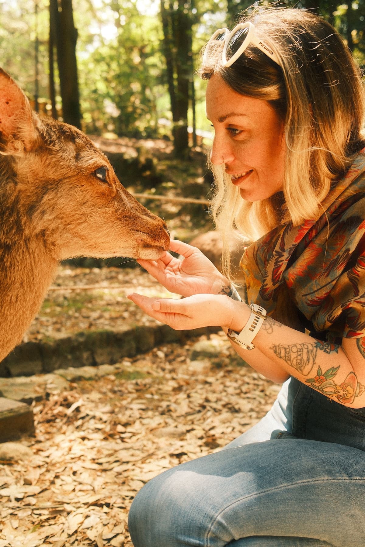 Kaiya smiling as she gently feeds
a deer from her hand in a sunlit
forest in Japan